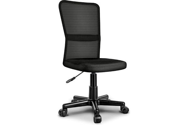 TRESKO® Chaise Fauteuil siège de Bureau Ergonomique, de 7 Couleurs différentes, Lift SGS contrôlé (Noir, sans accoudoirs)