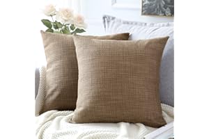 Artscope 2 Pezzi Federe Cuscini in Lino Minimalista Copricuscino Colorato per la Decorazione Domestica Soggiorno Camera da Letto Divano 60x60cm, Marrone