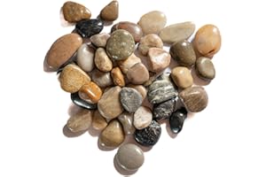 Chinchilla® Pierres décoratives de Couleur Naturelle - Set de Haute qualité env. 2-3 cm | Décoration Polyvalente pour la Maison et l'aquarium | Design de Pierre Authentique en Brun, Gris et Noir