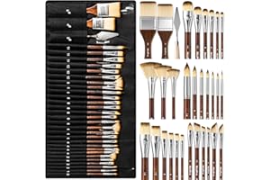 Nicpro Lot de 30 pinceaux professionnels pinceaux pour peinture acrylique, huile, aquarelle, gouache fournitures artistiques