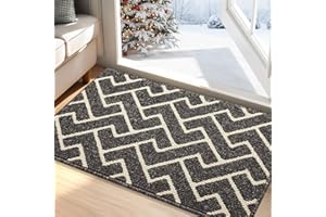 Biscpro Indoor Door Mats,60x90cm Door Mat Non Slip Backing,Dirt Trapper Mat Absorbent Non-Slip Doormat for Entrance,Inside,Kitchen,Front Back Door,Pets and Garden-Black
