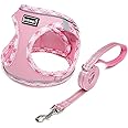 DORAMIO Step-in Dog Harness and Leash Set, Soft Mesh No-Chock Reflective Breathable Easy Walk Lightweight Vest Harnesses with Safety Buckle for Small Medium Dogs, Cats, Puppies (Pink, XXS)