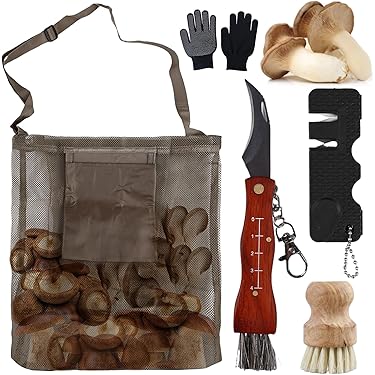 Coltello Funghi Con Spazzola - Acciaio Inox Pieghevole Manico Legno