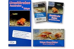 AQ4Aquaristik Triops longicaudatus Starter Set- ca. 100 Urzeitkrebse Eier - mit Aufzuchtfutter, Hauptfutter und Anleitung