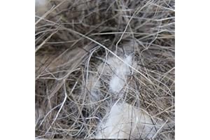 SISAL FIBRE Fibre de sisal Naturel et Poils d'animaux en Coton Canari pour nid d'oiseau 50 g