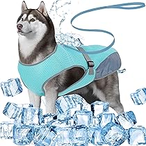 Dolahovy Giubbotto Di Raffreddamento Per Cani - Giacca Fredda Estiva Riflettente Per Tutte Le Taglie - Foto 2