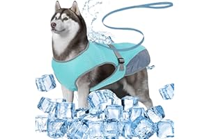 DKDDSSS Kamizelka chłodząca dla psa, fajna kurtka dla psa, oddychający płaszcz chłodzący dla zwierząt domowych, uprząż dla zwierząt domowych z smyczą, letnia kamizelka chłodząca dla średnich i dużych