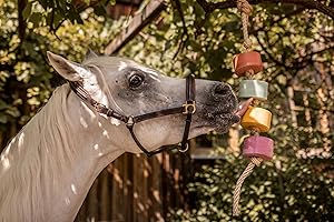 Horse Treats – IMIMA Lolly-Lick TRICOLORE 3-Pack with Lavender, Vanilla+Banana, Apple – Fun Natural Horse Treats for Box, Paddock, Stall – Includes FREE Hanging Rope