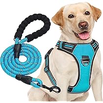 PETTOM Collare Cane Regolabile - Con Targhetta Nome E Strisce Riflettenti, Nylon Morbido, Taglie XS-XL - Foto 5