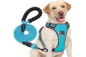 haapaw No Pull Dog Harness Adjustable Reflective Oxford Easy Control Medium Dog Harness with Free Heavy Duty Dog Leash