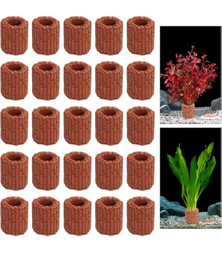 Top 10 Aquariumplanten voor beginners