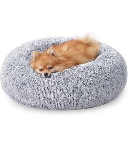 Astorpet Hunde- Und Katzenbett Foxy – Weich, Waschbar, Rutschfest, Größe XL Orange