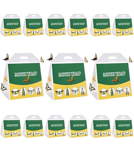 Piège à Phéromone Contre Les Mites Alimentaires