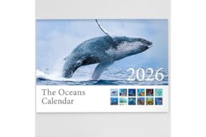 HAGUE 2026 The Oceans Wall Calendar Featuring Beautiful Imagery Of Animals Throughout The Worlds Oceans - Includes All UK & World Holidays & Dates Included | Perfect Christmas Calendar for the Home, Office