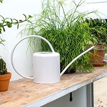 CKB LTD Arrosoir Intérieur 1,1 L Acier Galvanisé Craie - Bec Étroit - Design Contemporain Argent Pour Plantes Maison