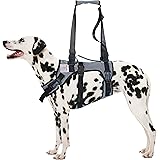 Coodeo Dog Lift Harness Support Recovery Sling Pet Rehabilitation Lifts Vest Adjustable Breathable Straps For Old Disabled Joint Injuries Arthritis Paralysis Dogs Walk Small Amazon Co Uk Pet Supplies