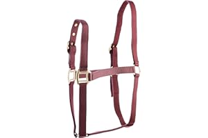 Rhinegold Licol en Nylon