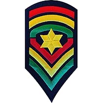 Patch Ecusson Thermocollant Blason Jeans Lion Lions 5 X 5 Cm