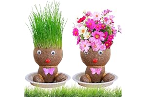 GmwyCzV 2 Pièces Poupées à Tête d'Herbe, Poupée Tête d'Herbe avec Plateau, Mini Bonsaï Anti-Moustique, Plante en Pot pour Enfants, Plantes en Pot pour Chambre, Décoration de Jardin, Jouet Éducatif