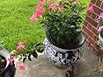 Remiawy Estacas de riego automático para Plantas para Vacaciones ...