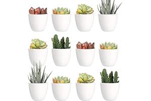 Youngever Paquete de 24 Mini macetas de plástico de 5 cm, macetas de Flores de Interior, Maceta de jardinería Blanca con Drenaje, no Incluye Planta (Moderna)