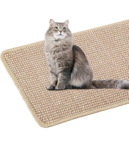 Poste Rascador De Gato, Rascador De Garra De Hongo Para Gati | Meses Sin Intereses