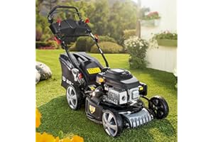 BRAST Tondeuse Thermique tractée démarrage électrique 170ccm 3,5kW (4,76 CV) 46 cm Coupe 30-80, Vitesse d'entraînement Triple réglable 60 l Moteur 4 Temps, 4en 1, châssis en tôle d'acier