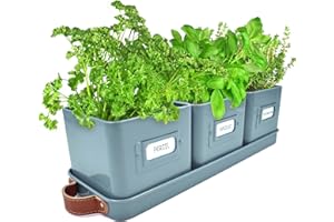 Green Thumbz Jardinière Herbes Aromatiques avec Poignée en Cuir - Idéal pour Basilic en Pot Herbes Aromatiques à Planter - avec Bac de Récupération et Trou de Drainage (Bleu)