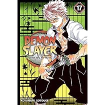 Demon Slayer: Kimetsu no Yaiba, Vol. 17 : Buy Online at Best Price