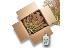 ‎MODELLBAUWERK Modellbauwerk® Seemoos/Meerschaum: Beutelgröße 350x250mm, Ideal für Modellbauwälder! fürArchitekturmodellbau, Bäume, Büsche, Landschaft & Dioramen (Karton 250x200x150mm, Natur/grün/rötlich)