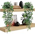 Plante Artificielle Tombante 2 Plantes Artificielles Tombantes SLTAXAR - 75cm Avec Pot - Lierre Décoratif Intérieur/Extérieur Pot Décoratif Salon