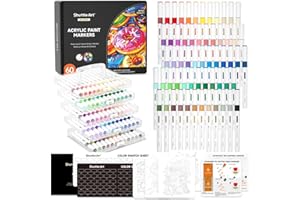 Shuttle Art Rotuladores Acrilicos con Tinta de Control Automático, 60 Colores Rotuladores Acrilicos Punta Pincel, Acrylic Markers para Niño Adulto para Pintar Piedras Plástico Vidrio DIY