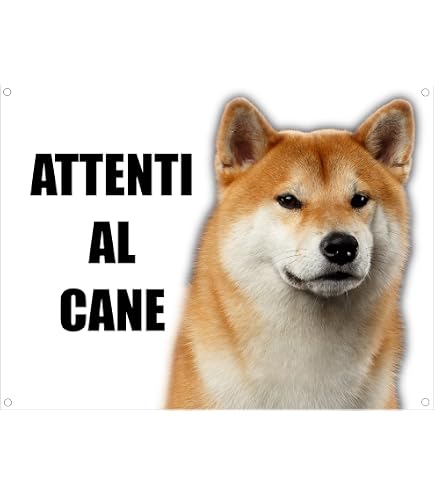 2 Cartelli PVC "ATTENTI Al Cane" 16x16 Cm - Rettangolare Con 4 Fori Per Appensione