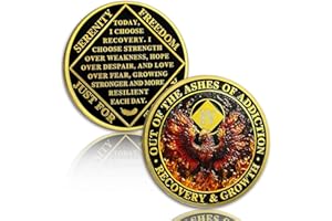 ATSKNSK Phoenix 4 Year Sobriety Coin Flame Four Year Sobriety Chip NA Chips and Medallion Narcotics Anonymous Chip AA Chip Recovery Anniversary Token Sobriety Gifts for Men Women Narcotics Anonymous Gift