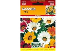 SICIGNANO CASALINGHI INGROSSO CASALINGHI ARREDO GIARDINO HOTELLERIE Sicignano | Semi Gazania - Pianta a Fioritura Estiva con Fiori Grandi, Busta Extra - 1 Confezione da 0.08g, Raccolta Estate