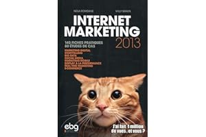 Internet marketing : 140 fiches pratiques, 80 études de cas