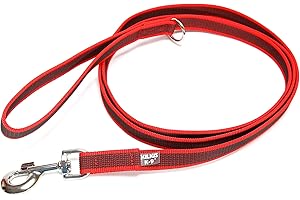 JULIUS K-9 Julius-K9 216GM-R-S2 Laisse antidérapante Color & Gray avec poignée, 20 mm x 2 m, Rouge-Gris
