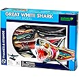 Thames and Kosmos | 261110 | Great White Shark Anatomy Model | 20 Parts with Stand and Illustrated Guide Book | Nature Discovery Range | Detachable Parts | 3D Models | Ages 8 To Adult