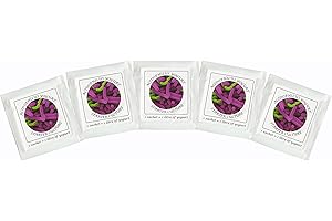 NATURAL PROBIOTIC SELECTION Joghurtferment für Acidophilus-Joghurt – 5 Beutel gefriergetrockneter Starterkulturen (5 Beutel)