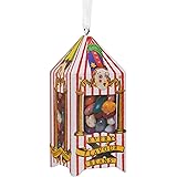 Hallmark Ornamento da collezione di Harry Potter, design di Bertie Bott's Every Flavour Beans