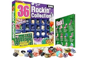 Byncceh 36 Pezzi Kit di Pietre Preziose per Bambini, Pietre Minerali Naturali, Collezione di Gemme e Cristalli Geologici, Set di Gemme Regalo per Ragazze e Ragazzi