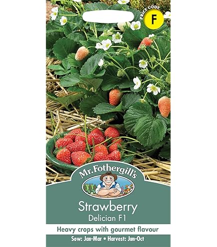 Strawberry 900 *Ambizu*) 9 Packs Rare Hybrid Edible Purple Yellow