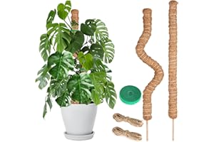 JOAERCS Moss Pole for Monstera, 60CM, 2 Pcs Sticks, Plant Supports for Indoor Plants, for Climbing Vines, Pothos, Potted, Comes with Velcro Tape and Hemp Rope