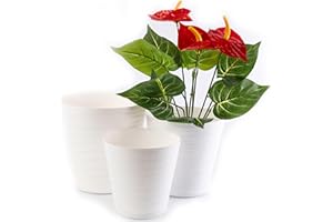 Home Garden Ornaments Tedi Maceta Blanco Juego de 3 Tamaños 13/15/17cm - Macetas Plastico con Platillo Integrado con Orificios de Drenaje - Maceteros Exterior - Macetero Interior (Blanco)