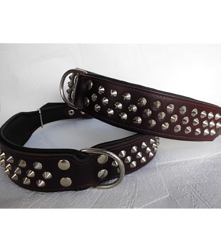 Leder-Hundehalsband Mit Nieten – Schwarz, Halsumfang 51-65 Cm, Breite 40 Mm