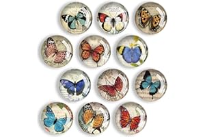 WJWINER Aimant pour Tableau Magnetique, 12 Pièces Aimants Tableau Magnétique, Aimant Tableau Magnetique, Magnette Aimant Frigo, Aimant Frigo Decoratif, pour Réfrigérateurs Tableau Blanc