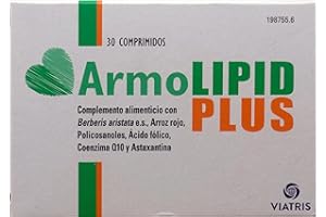 MYLAN Armolipid Plus 30 Compresse
