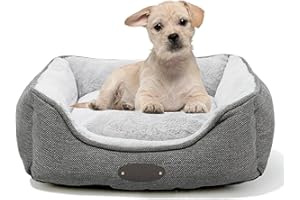 DEBANG HOME Lit Snoozer pour Chien et Chat de Petite Race - Confortable et apaisant - Tapis antidérapant avec Coussin réversible - Carré, Gris (S, Gris)