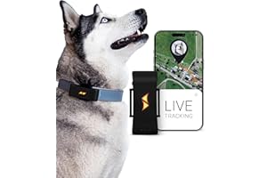 ‎PAJ GPS PAJ GPS - Tracker dla psów - 4G - alarmy przy oddaleniu się + śledzenie na żywo na całym świecie - tryb oszczędzania baterii w pobliżu routera - przywołanie psa - wodoodporny (IP67), Czarny