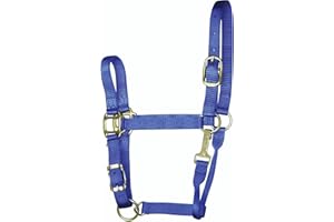 Hamilton 1-Inch Nylon Adjustable Quality Halter with Chin Snap for 800 to 1100-Pound Horse, Average, Blue